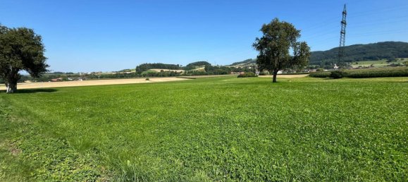 Terreno en Kirnberg an der Mank, Austria 8385 m² No. 222432 2