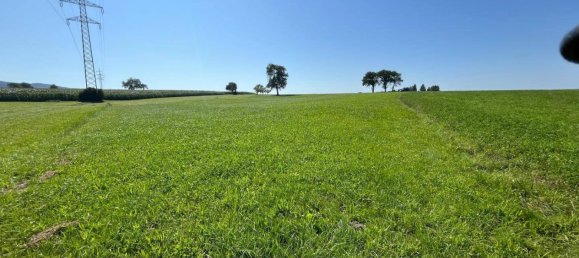 Terreno en Kirnberg an der Mank, Austria 8385 m² No. 222432 3