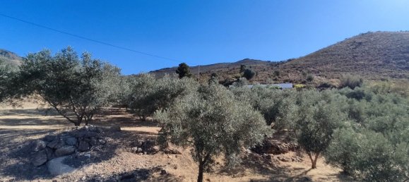 4 bedrooms House in Alcaucin, Spain No. 51504 3