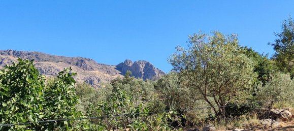 4 bedrooms House in Alcaucin, Spain No. 51504 2