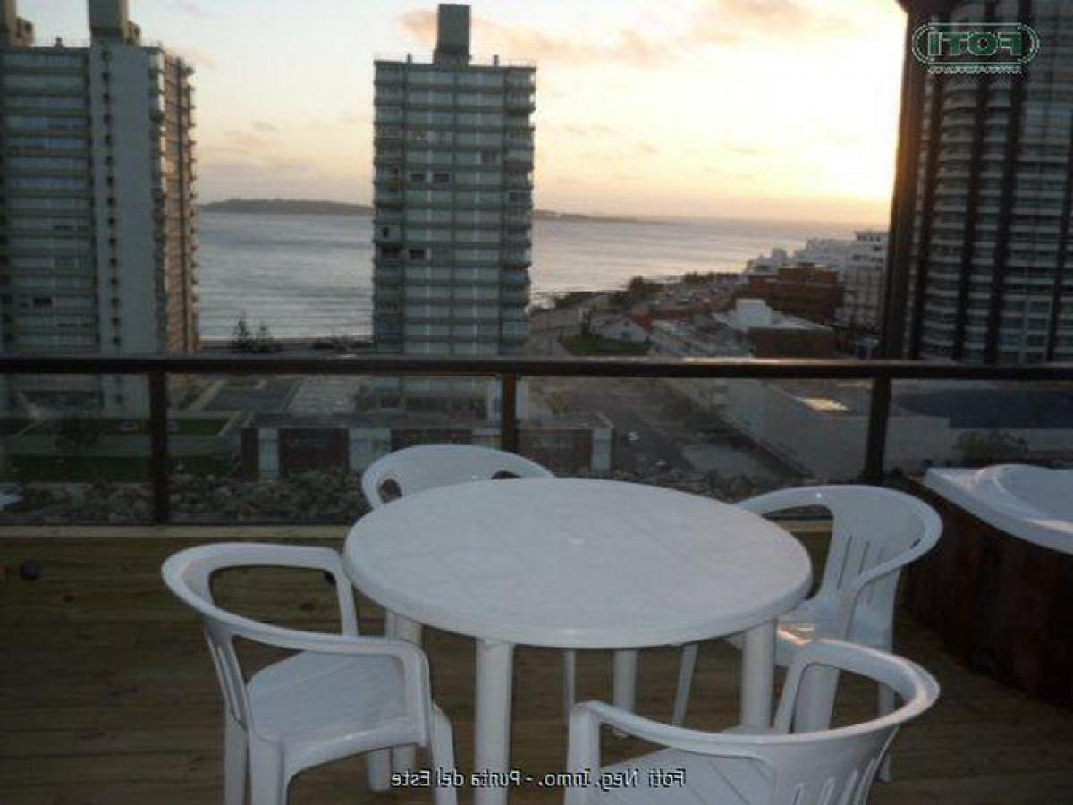 3 bedrooms Apartment in Punta del Este, Uruguay No. 1108