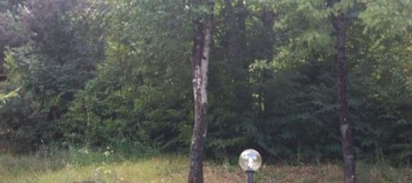 Studio in Segni, Italy No. 255967 7