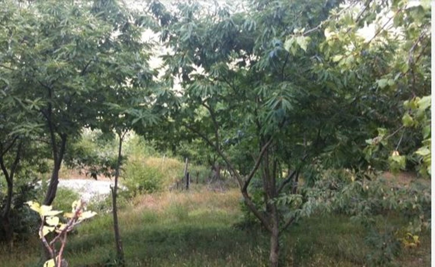 Studio in Segni, Italy No. 255967