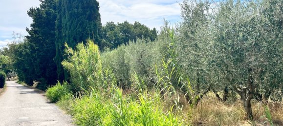 60000m² Land in Rosignano Marittimo, Italy No. 275572 2