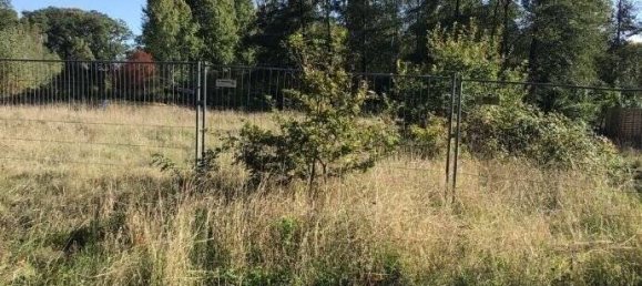 Grundstück in Niedersachsen, Germany, Nr. 199601 2