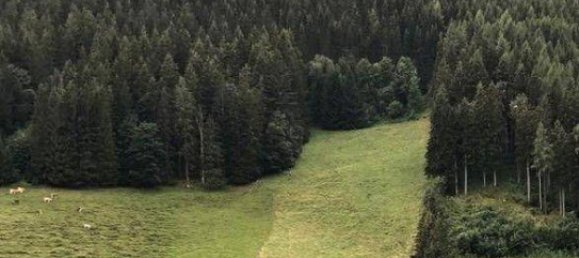 2 Schlafzimmer Haus in Vordernberg, Austria, Nr. 130344 2