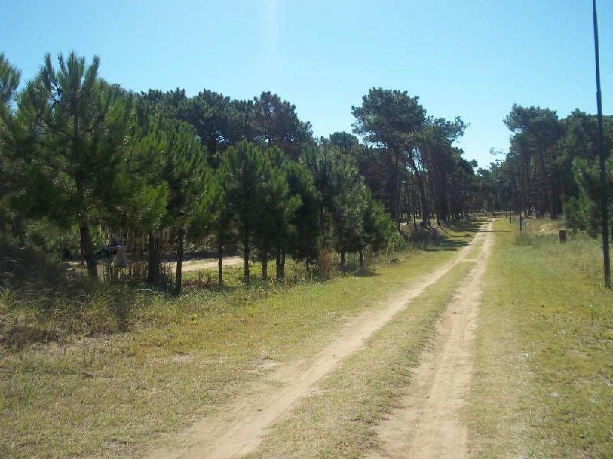 Terrain à Mar del Plata, Argentina No. 113998