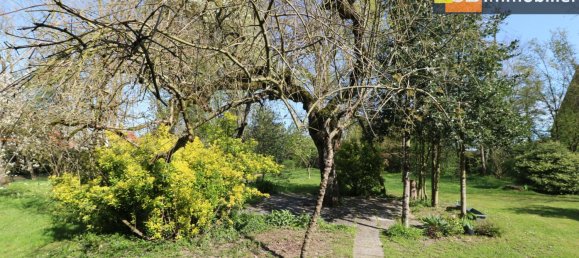 5 غرف نوم منزل في Pierre-de-Bresse, France رقم 290380 28