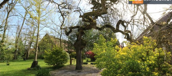 5 غرف نوم منزل في Pierre-de-Bresse, France رقم 290380 27