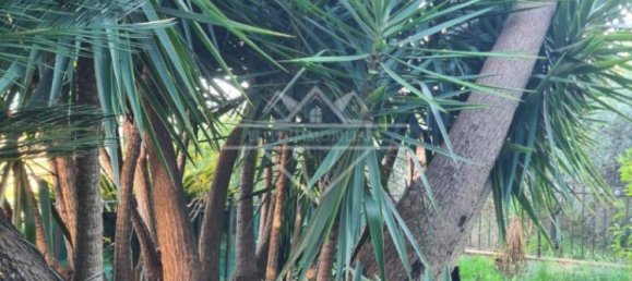 3 غرف نوم شقة في Carrara, Italy رقم 354631 3