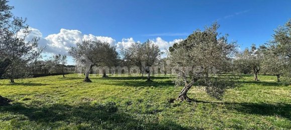 3 bedrooms Villa in Manziana, Italy No. 206974 33