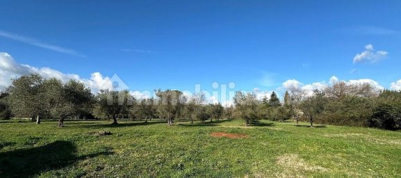 3 bedrooms Villa in Manziana, Italy No. 206974 27