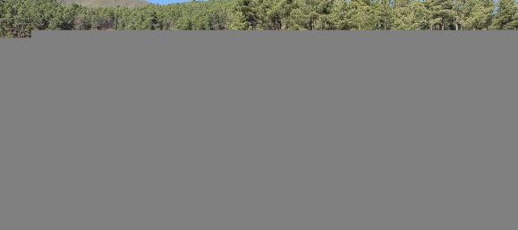 4 Schlafzimmer Villa in Sameiro, Portugal, Nr. 24974 15