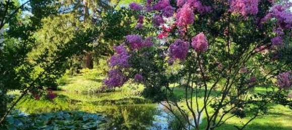 Casa T3 em Romorantin-Lanthenay, France N.º 73611 20