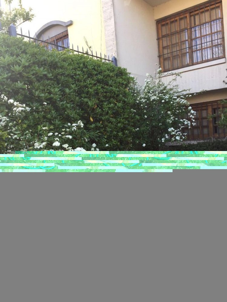 4 Schlafzimmer Haus in Montevideo, Uruguay, Nr. 6606