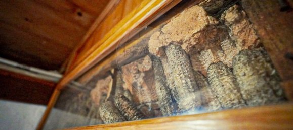 15 bedrooms House in Tomar, Portugal No. 24506 12