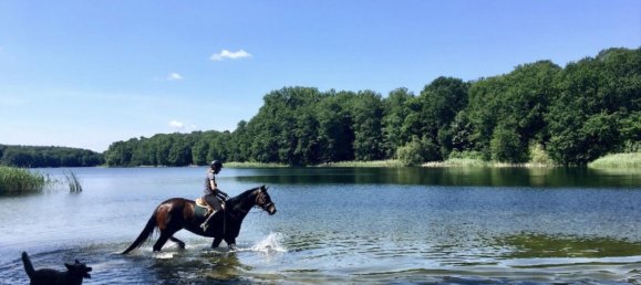 4 rooms Duplex in Grunewald, Germany No. 241219 18