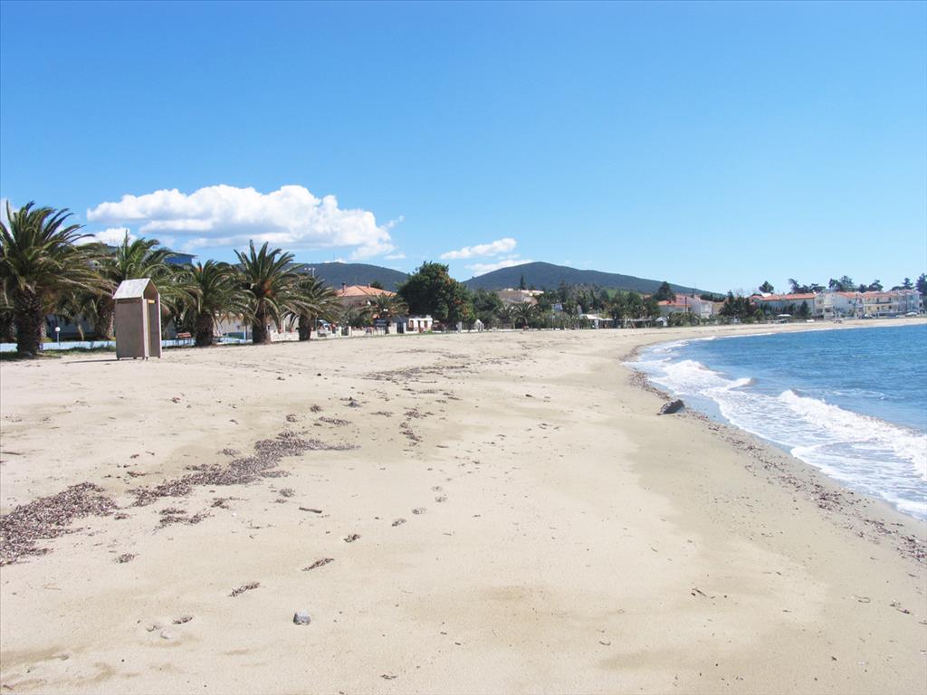 5538m² Hotel in Polygyros, Greece No. 5461