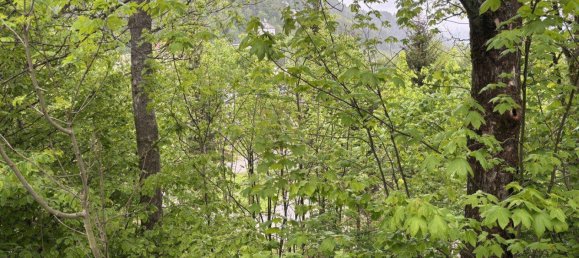 Grundstück in Semmering, Austria 3551m², Nr. 196974 2