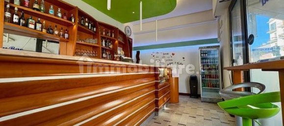 2غرفة عقار تجاري في Sona, Italy رقم 23388 17