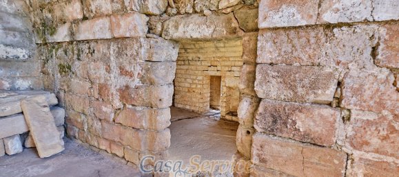 Дом с 20 спальнями в Alezio, Италия № 86722 40