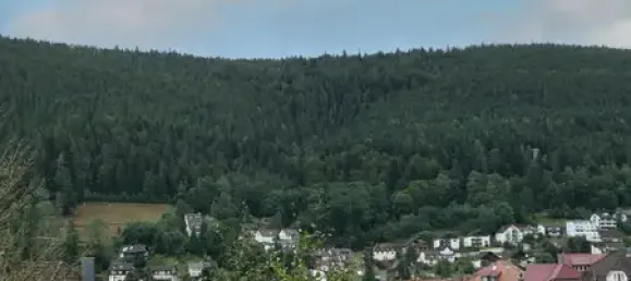 Студия в Кальв, Германия № 262199 10