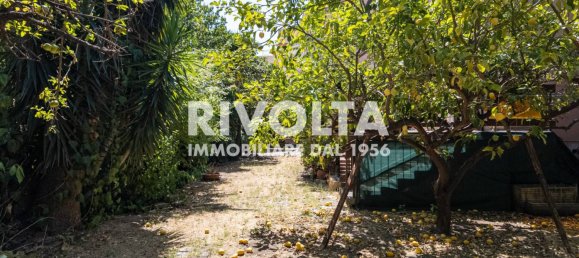 5 rooms Office in Rome, Italy No. 345555 13