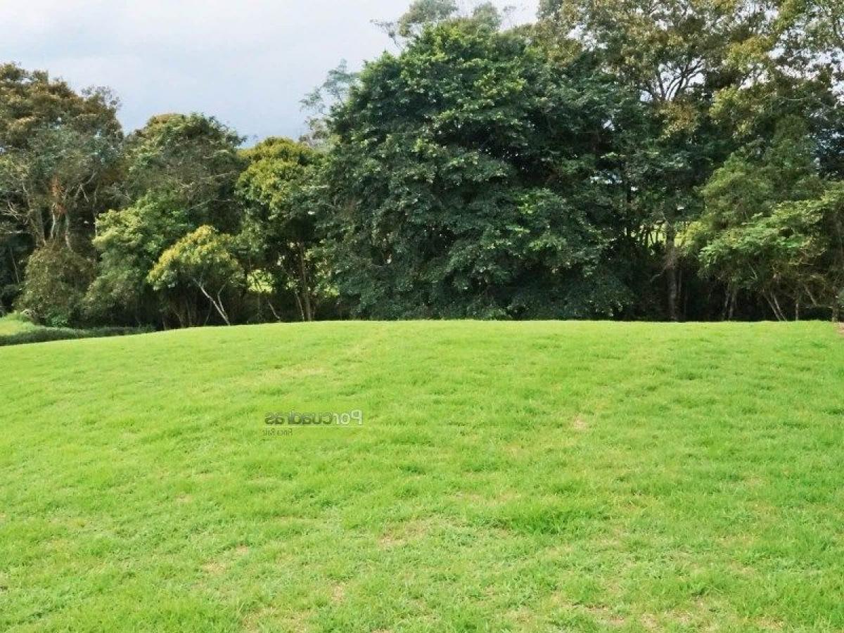 Grundstück in Antioquia, Colombia, Nr. 263