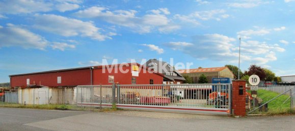 Коммерческая недвижимость с 4 спальнями в Гослар, Германия № 129120 18