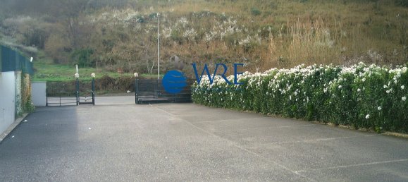 Estudio en Rome, Italy No. 62266 11