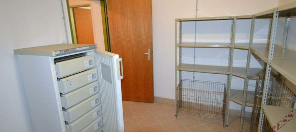 Bungalow de 4 habitaciónes en Eggendorf, Austria No. 242870 34