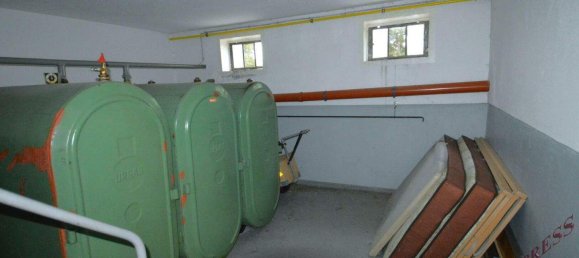 Bungalow de 4 habitaciónes en Eggendorf, Austria No. 242870 29