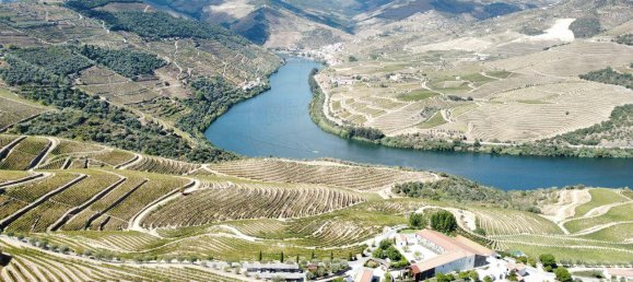 4 chambres Maison à Sao Joao da Pesqueira, Portugal No. 164044 4