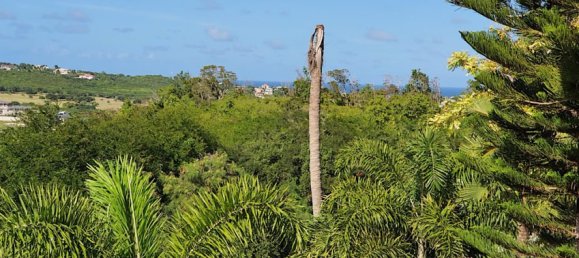 3 chambres Villa à Cedar Grove, Antigua and Barbuda No. 16 6