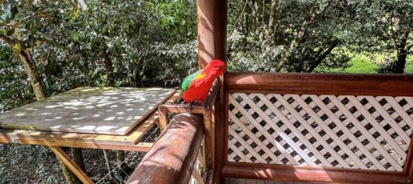 3 Schlafzimmer Haus in Bunya Mountains, Australia, Nr. 379 21