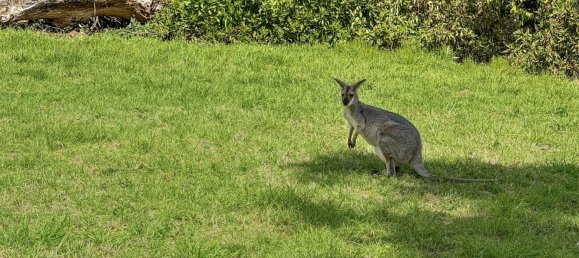 3 Schlafzimmer Haus in Bunya Mountains, Australia, Nr. 379 24