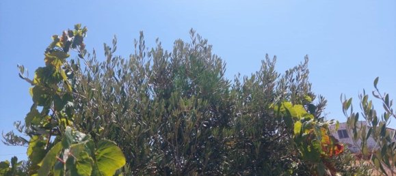 Terrain à Castro Marim, Portugal 2920m² No. 56395 38