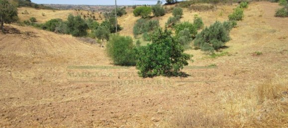 Terrain à Castro Marim, Portugal 2920m² No. 56395 2