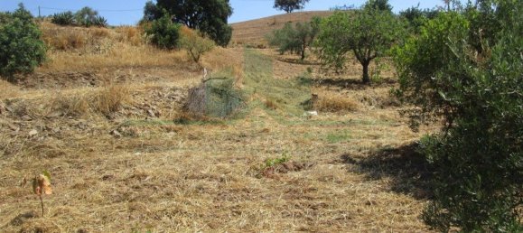Terrain à Castro Marim, Portugal 2920m² No. 56395 8