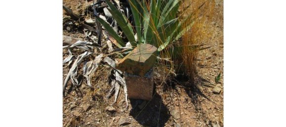 Terrain à Castro Marim, Portugal 2920m² No. 56395 19