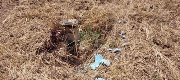 Terrain à Castro Marim, Portugal 2920m² No. 56395 36