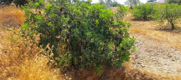 Terrain à Castro Marim, Portugal 2920m² No. 56395 12