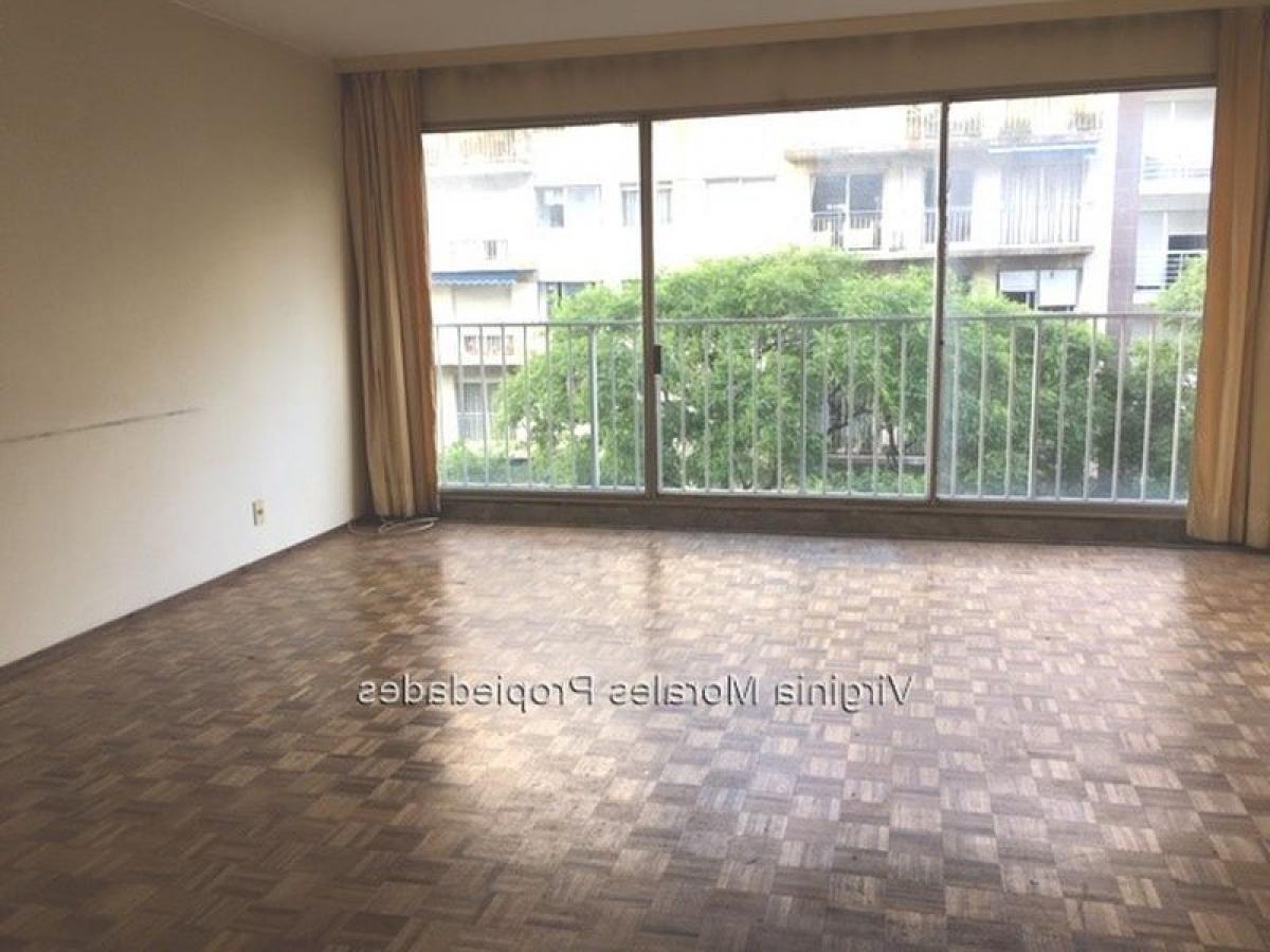 Квартира с 2 спальнями в Монтевидео, Уругвай № 12079