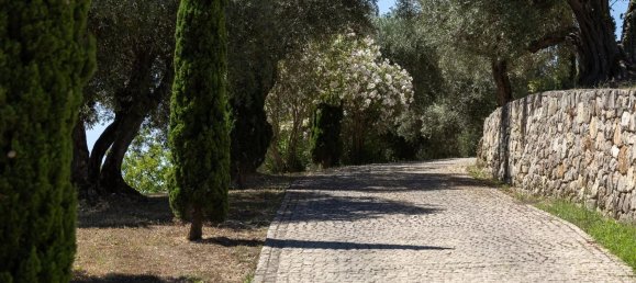 Villa T6 em Tourrettes, France N.º 343164 11