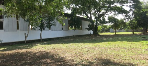 Almacén en San Pa Tong, Thailand No. 72653 7