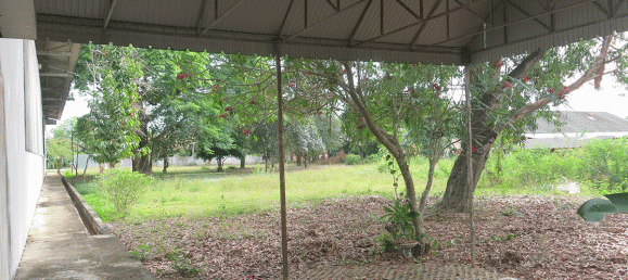 Almacén en San Pa Tong, Thailand No. 72653 12