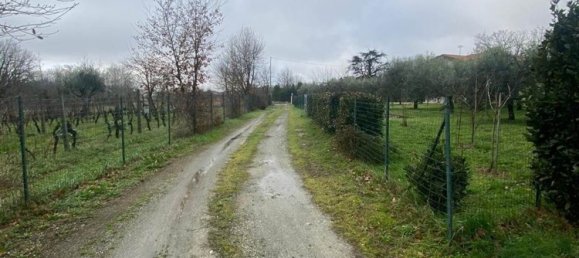 Terreno en Monsummano Terme, Italy 4000 m² No. 138377 6