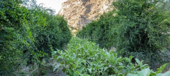 Grundstück in Granada, Spain 82000m², Nr. 161616 7