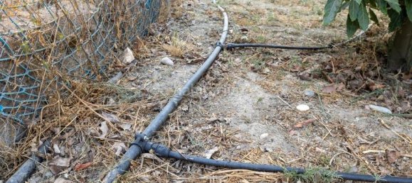 Grundstück in Granada, Spain 82000m², Nr. 161616 31