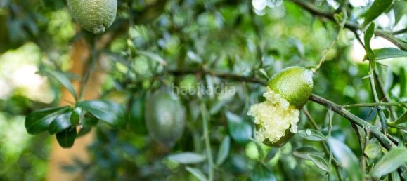 Grundstück in Granada, Spain 82000m², Nr. 161616 10